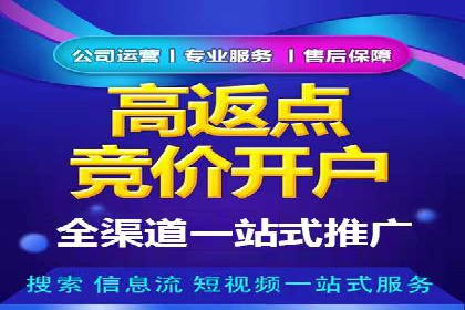 探索百度广告竞价的奥秘：某行业领先企业的投放经验